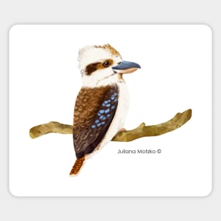 Kookaburra Bird Realistic Illustration Magnet